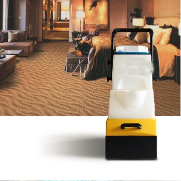 Wet Carpet Cleaner